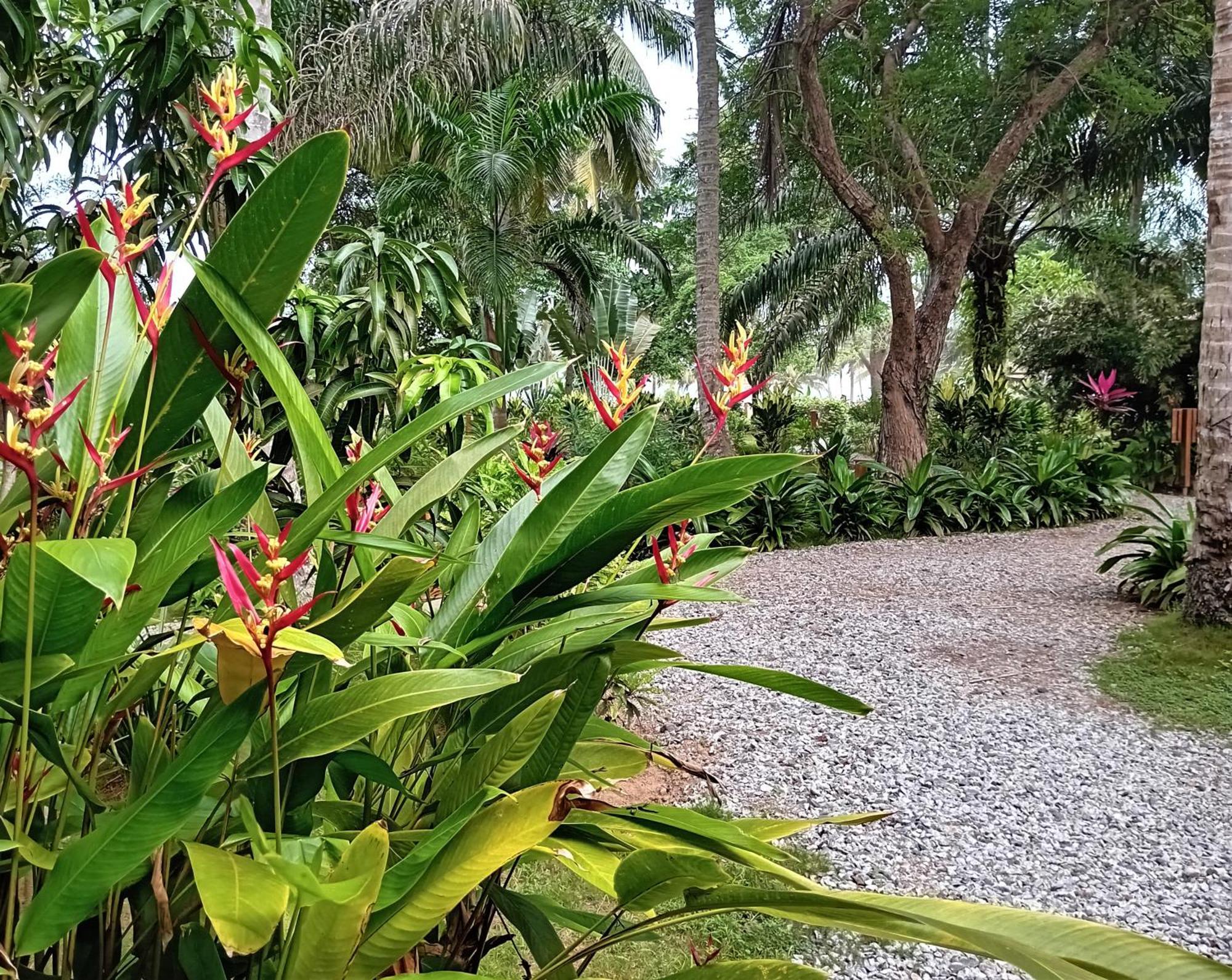 Ko-Sa Beach Resort Ltd Ampeni 外观 照片